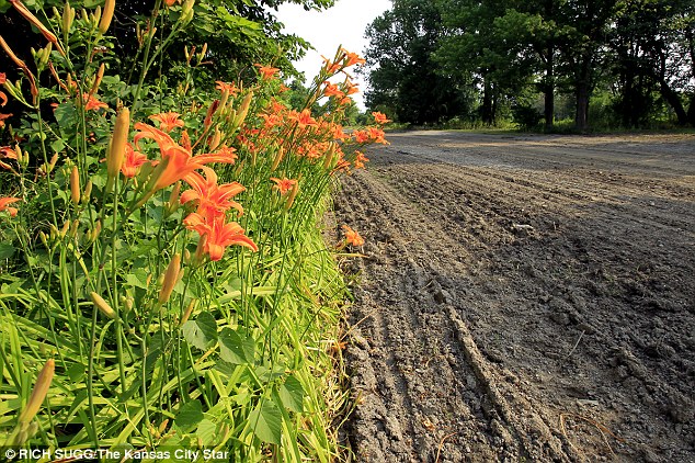 Bulldozed streets